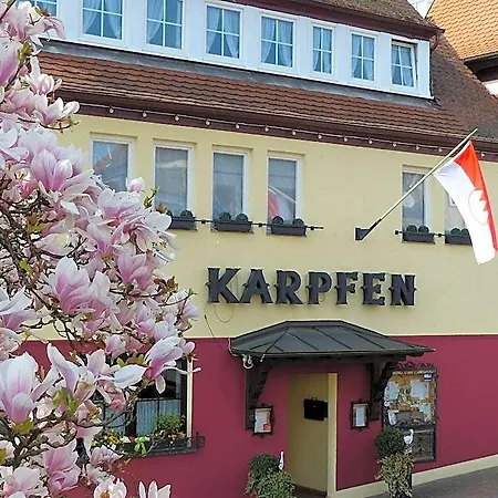 & Restaurant Zum Karpfen 3* Obernburg am Main