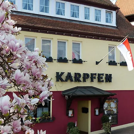 Hotell & Restaurant Zum Karpfen Obernburg am Main